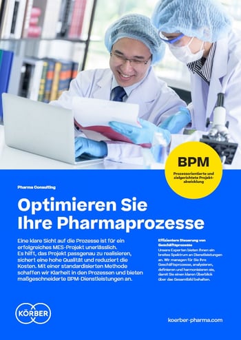Consulting_0001_Business_Process_Management_FL_DE
