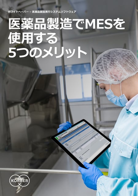 WP_Werum_MES_5 merit_JP_Page_1