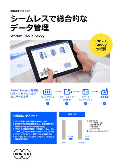 Cover_Koerber_sof_0059_PAS-X-Savvy-in-a-nutshell_FL_JP